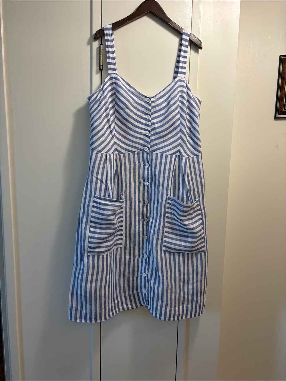 Birds of North America Blue and White Striped Button-Front Dress
